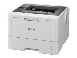 Brother HL-L5210DN - Drucker - s/w - Duplex - Laser