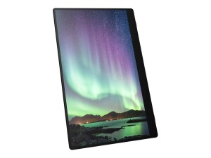 Fujitsu Ricoh 150 - OLED-Monitor - 39.6 cm (15.6") - tragbar - Touchscreen - 1920 x 1080 Full HD (1080p)