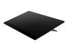 Fujitsu Ricoh 150 - OLED-Monitor - 39.6 cm (15.6") - tragbar - Touchscreen - 1920 x 1080 Full HD (1080p)