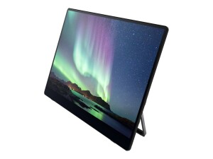 Fujitsu Ricoh 150BW - OLED-Monitor - 39.6 cm (15.6") - tragbar - Touchscreen - 1920 x 1080 Full HD (1080p)