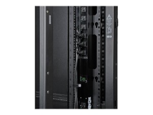 Tripp 42U Rack Enclosure Server Cabinet w/ Doors & Sides - Schrank Netzwerkschrank - Schwarz - 42HE - 48.3 cm (19")