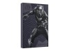 Seagate Black Panther - Festplatte - 2 TB - extern (tragbar)