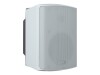 Biamp Apart SDQ5PIR - Lautsprecher - 60 Watt (Gesamt)