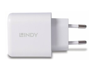 Lindy Netzteil - 30 Watt - 3 A - PD 3.0 - 2 Ausgabeanschlussstellen (4-polig USB Typ A / 24-polig USB-C)