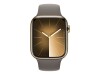 Apple Watch Series 9 (GPS + Cellular) - 45 mm