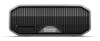 SANDISK PROFESSIONAL G-DRIVE PROJECT - Festplatte - Enterprise - 18 TB - extern (Stationär)