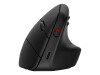 HP 925 - Vertikale Maus - ergonomisch - 6 Tasten - kabellos - 2.4 GHz, Bluetooth 5.3 - kabelloser Empfänger (USB)