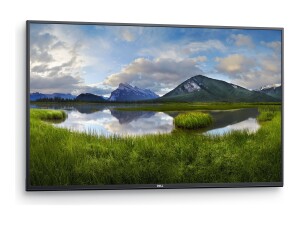 Dell P5524Q - 140 cm (55") Diagonalklasse (138.684 cm (54.6")