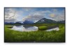 Dell P5524Q - 140 cm (55") Diagonalklasse (138.684 cm (54.6")