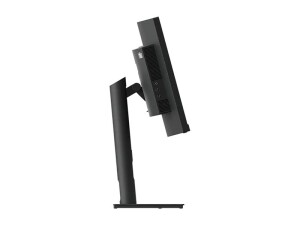 Lenovo ThinkVision T34w-30 - LED-Monitor - gebogen - 86.4...