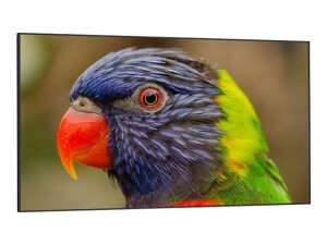 DynaScan DS752LR4 - 190.5 cm (75&quot;) Diagonalklasse...
