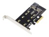DIGITUS M.2 NGFF / NVMe SSD PCI Express 3.0 (x4) Add-On Karte