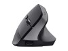 Trust Bayo+ - Vertikale Maus - ergonomisch - Für Rechtshänder - optisch - 6 Tasten - kabellos - 2.4 GHz - kabelloser Empfänger (USB)