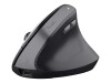 Trust Bayo II - Vertikale Maus - ergonomisch - Für Rechtshänder - optisch - 6 Tasten - kabellos - 2.4 GHz - kabelloser Empfänger (USB)
