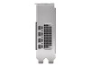 PNY NVIDIA - Grafikkarten - NVIDIA RTX 2000 Ada - 16 GB GDDR6