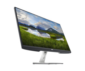 Dell S2421HN - LED-Monitor - 60.45 cm (24") - 1920 x 1080 Full HD (1080p)