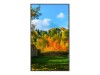 NEC Display MultiSync m551 - 138.8 cm (55") Diagonalklasse M Series LCD-Display mit LED-Hintergrundbeleuchtung - Digital Signage - mit Touchscreen (Multi-Touch)