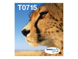 Epson T071 Easy Mail Packaging - 4er-Pack - 23.9 ml
