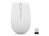 Lenovo 300 Wireless Compact - Maus - mit Batterie - optisch - 3 Tasten - kabellos - 2.4 GHz - kabelloser Empfänger (USB)