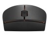 Lenovo 300 Wireless Compact - Maus - mit Batterie - optisch - 3 Tasten - kabellos - 2.4 GHz - kabelloser Empfänger (USB)