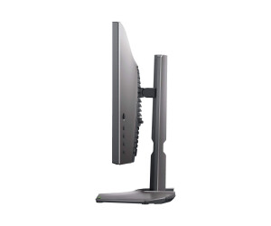 Dell 25 Gaming Monitor S2522HG - LED-Monitor - Gaming - 63.5 cm (25")
