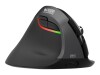 Urban Factory ERGO PRO - Maus - vertikal - ergonomisch - Für Linkshänder - 6 Tasten - kabellos - Bluetooth 5.0, 2.4 GHz - kabelloser Empfänger (USB)