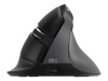 Urban Factory ERGO PRO - Maus - vertikal - ergonomisch - Für Linkshänder - 6 Tasten - kabellos - Bluetooth 5.0, 2.4 GHz - kabelloser Empfänger (USB)