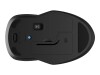HP 255 - Maus - optisch - 3 Tasten - kabellos