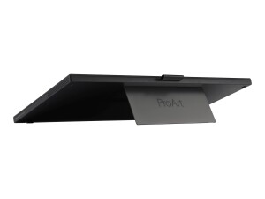 ASUS ProArt PA169CDV - LED-Monitor - 39.6 cm (15.6")