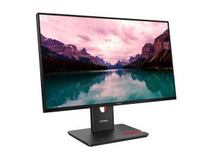 Lenovo ThinkVision T24-40 - LED-Monitor - 61 cm (24")