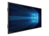 NewLine TT-6519IP - 165.1 cm (65") Diagonalklasse IP Series LCD-Display mit LED-Hintergrundbeleuchtung - interaktiv - mit Touchscreen - 4K UHD (2160p)