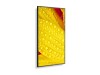 NEC MultiSync M431-2 - 109 cm (43") Diagonalklasse (108 cm (42.5")