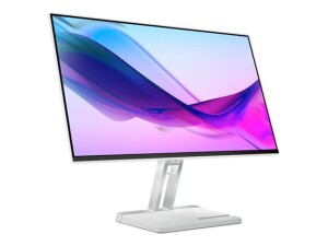 Lenovo L24i-4A - LED-Monitor - 61 cm (24") (23.8" sichtbar)