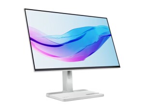 Lenovo L24m-4A - LED-Monitor - 61 cm (24") (23.8" sichtbar)