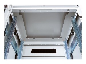 ROLINE Pro - Schrank Netzwerkschrank - RAL 7035, Hellgrau...