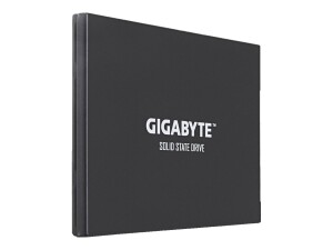 Gigabyte UD PRO Series GP-GSTFS30256GTTD - SSD - 256 GB -...