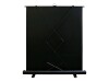 Elite Screens Elite ez-Cinema F135NWH - Projektionsschirm mit Bodenständer - 343 cm (135")