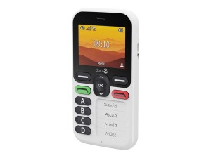 Doro Leva X10 - 4G Feature Phone - RAM 64 MB / Interner Speicher 128 MB - microSD slot - 320 x 240 Pixel (60 Hz)