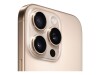 Apple iPhone 16 Pro Max - 5G Smartphone - Dual-SIM / Interner Speicher 256 GB - OLED-Display - 6.9" - 2868 x 1320 Pixel (120 Hz)