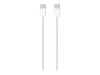 Apple 10.9-inch iPad Wi-Fi + Cellular - 10. Generation - Tablet - 256 GB - 27.7 cm (10.9")