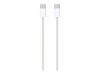 Apple 10.9-inch iPad Wi-Fi - 10. Generation - Tablet - 256 GB - 27.7 cm (10.9")