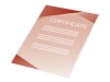 GBC Document Laminating Pouch - 80 Mikron - 100er-Pack