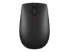 Lenovo 300 Wireless Compact - Maus - mit Batterie - optisch - 3 Tasten - kabellos - 2.4 GHz - kabelloser Empfänger (USB)