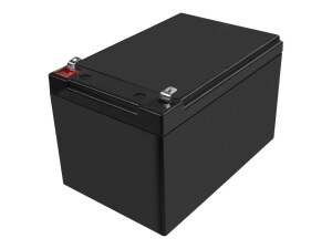 Green Cell Batterie - Bleisäure - 10 Ah - Schwarz