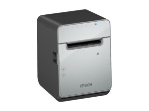 Epson TM L100 (121A0) - Belegdrucker - Thermozeile - Rolle (7,95 cm)