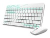 Rapoo 8000M - Tastatur-und-Maus-Set - kabellos