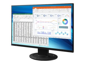 EIZO FlexScan EV2410R-BK - Mit FlexStand - LED-Monitor -...