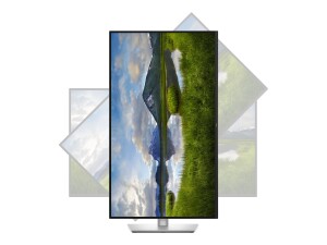 Dell Pro Plus P3225QE - LED-Monitor - 81.3 cm (32")