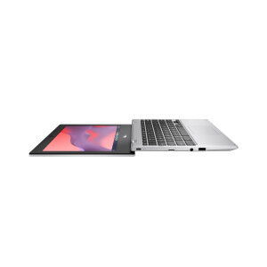 ASUS Chromebook CX1 CX1700CKA-AU0101 – 17,3″ Full HD IPS – Intel Celeron N4500 – 8 GB RAM – 128 GB eMMC – Wi-Fi 6 – ChromeOS – Transparent Silver
