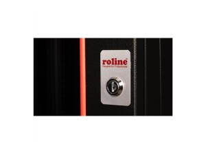 ROLINE Pro - Schrank Netzwerkschrank - zwei-teilig schwenkbar, 600 x 600 mm (B x T)